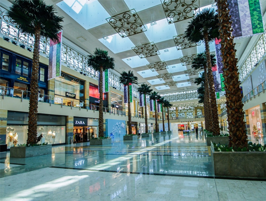 Dubai Shopping Services